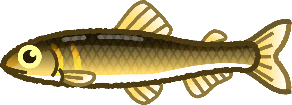 アユのイラスト/メス