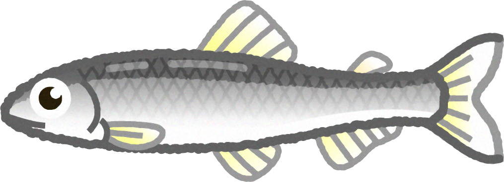 アユのイラスト/オス