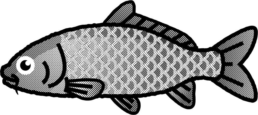 コイのイラスト/モノクロ