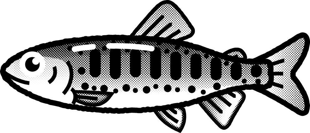 ヤマメのイラスト/モノクロ