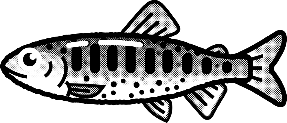 アマゴのイラスト/モノクロ