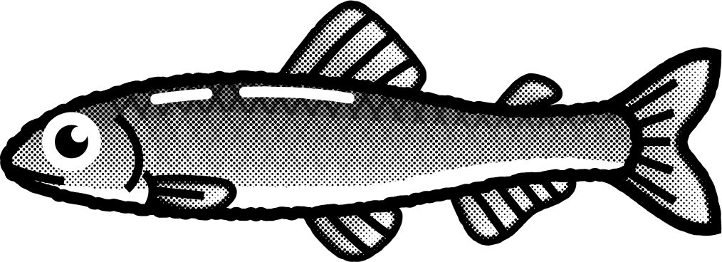 アユのイラスト/メス/モノクロ