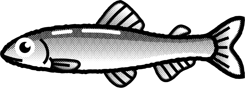 アユのイラスト/オス/モノクロ