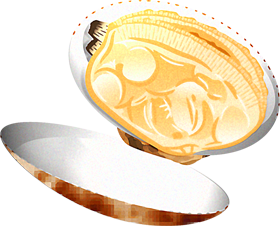 あさりのイラスト