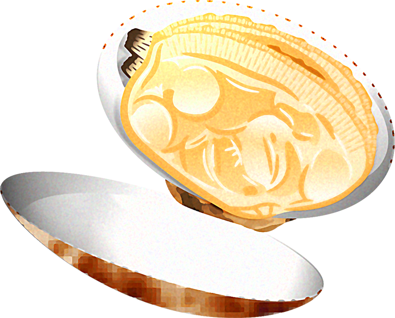 あさりのイラスト