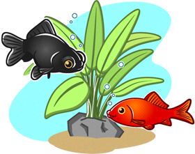 金魚と出目金のイラスト