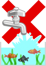 金魚のイラスト/に直接水道水を入れてはダメ