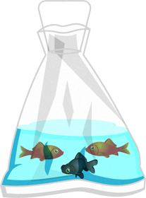 袋に入った金魚と出目金のイラスト