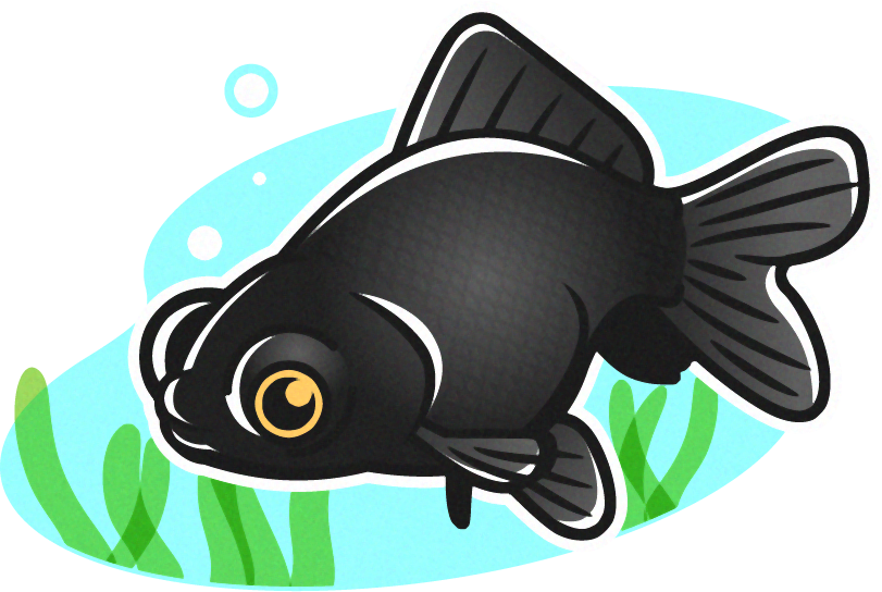 出目金のイラスト