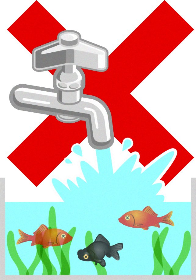 金魚のイラスト/に直接水道水を入れてはダメ