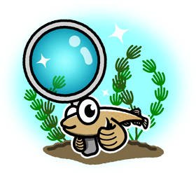 虫眼鏡を持ったメダカのイラスト