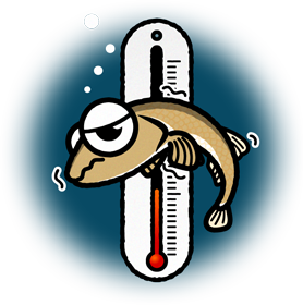 寒いのは苦手なメダカのイラスト