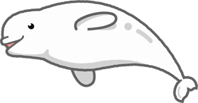 シロイルカのイラスト