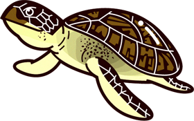 海亀のイラスト