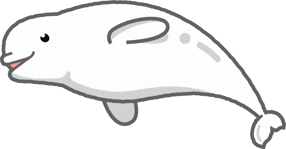 シロイルカのイラスト