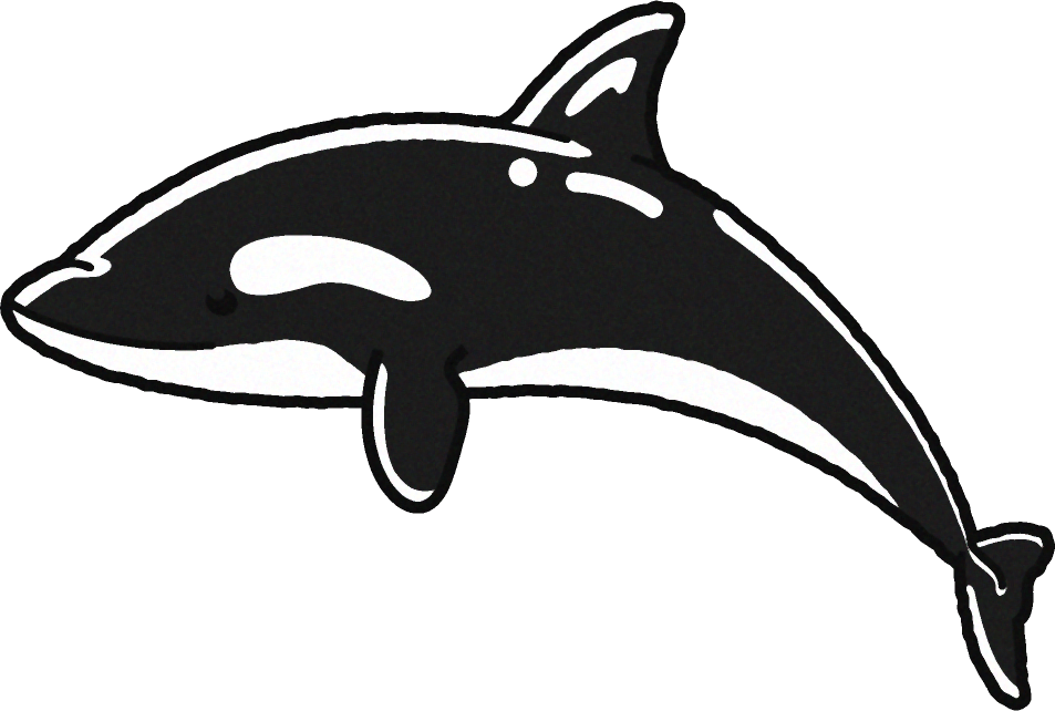 シャチのイラスト
