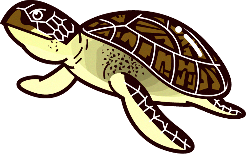 海亀のイラスト