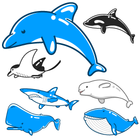 海に住む哺乳類イラスト
