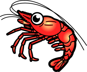 海老のイラスト