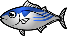カツオのイラスト