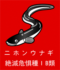 ニホンウナギのイラスト/絶滅危惧IB類