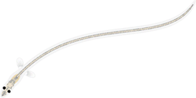 シラスウナギのイラスト