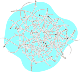 シラスウナギのイラスト/沢山