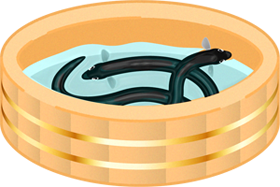 たらいに入ったウナギのイラスト