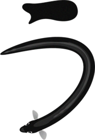 鰻のうイラスト/文字_上