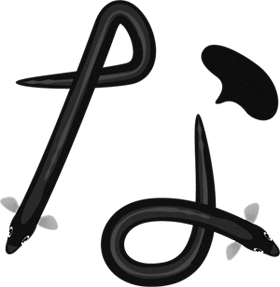 鰻のなイラスト/文字_上