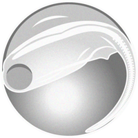 ウナギの卵イラスト