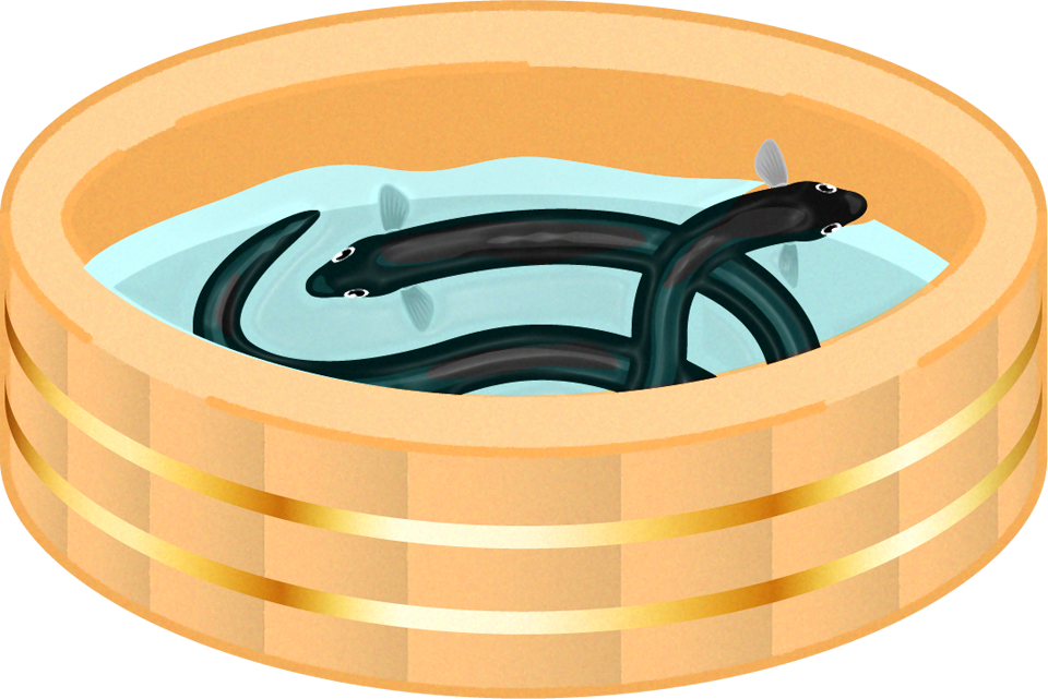 たらいに入ったウナギのイラスト