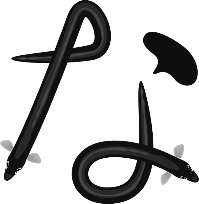 鰻のなイラスト/文字_上