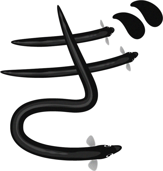 鰻のぎイラスト/文字_上