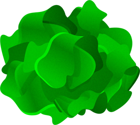 生わかめイラスト/葉体