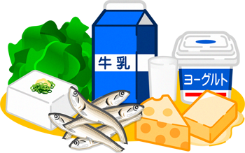 カルシウムのイラスト/7種