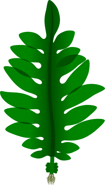 わかめイラスト/全体