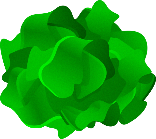 生わかめイラスト/葉体