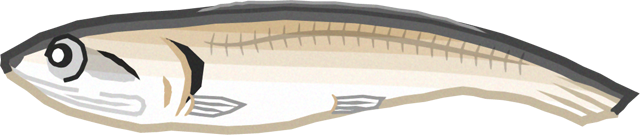 いりこイラスト2