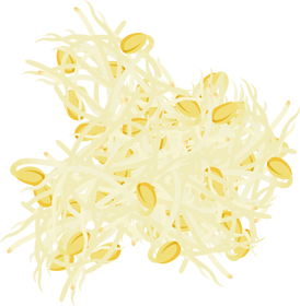 たくさんの大豆もやしイラスト