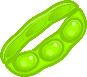 開いた枝豆イラスト