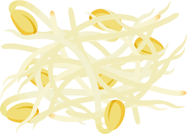 大豆もやしイラスト
