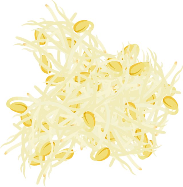 たくさんの大豆もやしイラスト