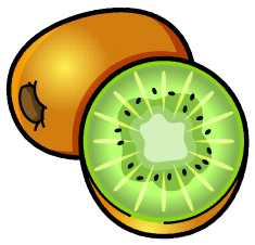 キュウイフルーツのイラスト