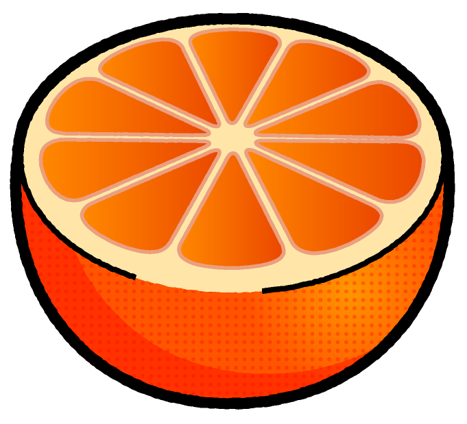 グレープフルーツのイラスト