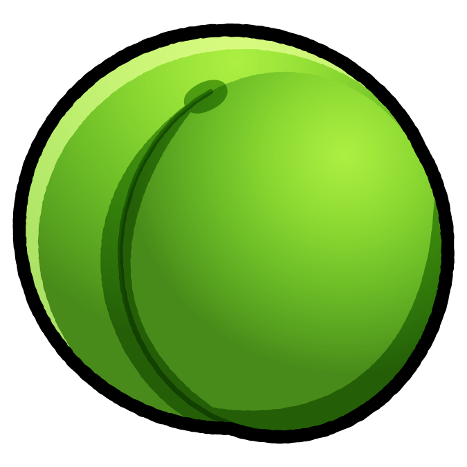 梅の実のイラスト