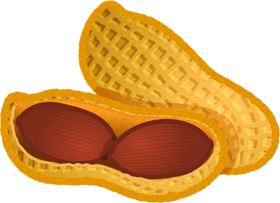 ピーナツのイラスト