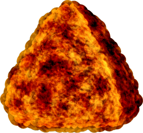 握り寿司のイラスト/海老