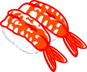 握り寿司のイラスト/海老