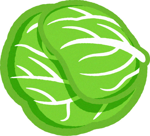 キャベツのイラスト